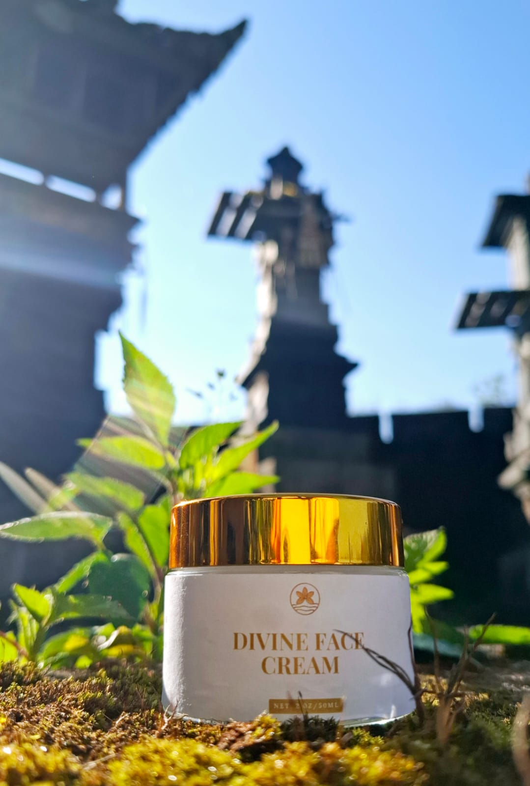 DIVINE FACE CREAM