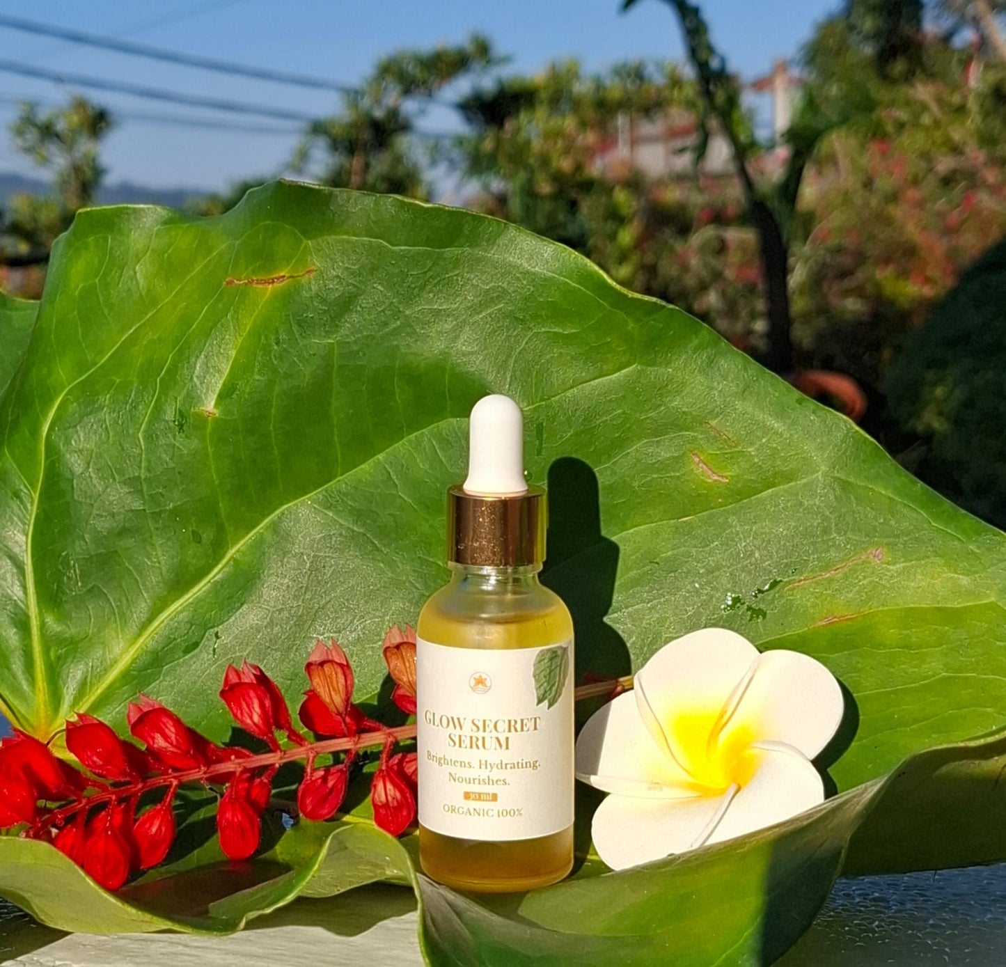 Glow Secret Serum